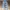 Baggy Blue Jeans Toffe photo 5