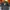 MLB New Era Detroit Tigers photo 1