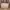 Naraya Crossbody Bag