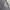 Wtistlet Guess photo 3