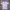 Polo shirt Fredy Perry  photo 1