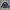 Long Sleeve Groverhyme  photo 2