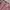 CARDIGAN CABLE POLO RALPH LAUREN soft pink photo 2
