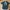 Be Honests Kaos Baju T Shirt photo 2