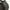 Trench Coat by Hombruno photo 3