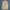 Streetwear Sportswear Vest Pria cream photo 1