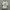 56.76 ART BASEBALL VINTAGE // ART VINTAGE // KAOS ART VINTAG photo 1