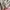 Uniqlo U Heattech Airsm Long Sleeve White photo 6