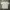 VINTAGE VANS T-SHIRT DOUBLE LAYER SKATEROOTS