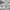 Luxury Minimalist Wanita white gray photo 1