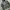 Jacket Sherpa Army Second photo 3