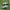nike airmax 95 neon og 2020 photo 3