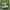 nike airmax 95 neon og 2020 photo 1