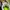 nike airmax 95 neon og 2020 photo 5