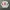 Long Sleeve Sailor Moon photo 1