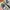 New Balance 327 Team Away Grey photo 9