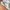New Balance 327 Team Away Grey photo 6