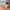 New Balance 996 x Brownyard Gray Brown photo 6