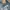 Levi's 501 Grey Washed Fade Jeans  photo 7