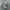 New Balance Casual Sneakers Pria gray photo 1