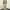 RAIZ seoul Baggy chino pants photo 5
