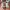 New Balance 9060 ivory cream pink sand spesial colorway photo 4