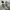 Adidas  photo 2