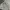 CREWNECK MARDI MERCREDI BROKEN WHITE photo 6
