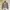 UNIQLO| Cardigan Knitted Short Tweed Look  photo 2