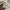 tc adidas photo 9