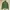 UNIQLO| Cardigan Knitted Green Short Tweed Look photo 5