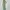 3-in-1 Knit Set (Rok + Vest + Polo) Sage Green photo 7