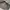 Adidas ZNE photo 9