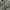 Adidas ZNE photo 7