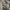 Adidas ZNE photo 10