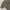 Adidas ZNE photo 5