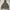 Adidas ZNE photo 1