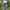Vintage Streetwear Jeans Pria white gray photo 2