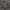 Nike Tech Fleece Camo photo 6