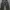 Army Loose Cargo Pants 