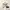 Authentic Original Michael Kors MK Carine XS Logo Satchel In