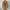 A66. Forever New Long Blazer photo 1