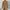 A66. Forever New Long Blazer photo 3