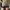 subdued - po china photo 1