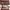 Coach Luxury Casual Bags & purse Wanita tan brown photo 5