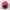 Topi Snapback Skate Brand Zoo York photo 3