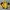 Vintage Giants Junko Koshino Asics photo 1