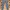 uniqlo stretch legging blue jeans photo 2