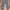 Uniqlo Stretch Legging Blue Jeans