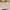 sweatshirt colorbox pink photo 4